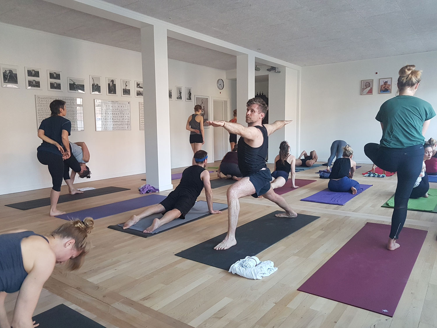 Astanga Yoga Studio Copenhagen Holdplan, Schedule